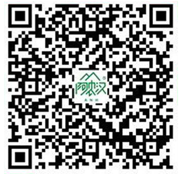 掃一掃 手機(jī)訪問
